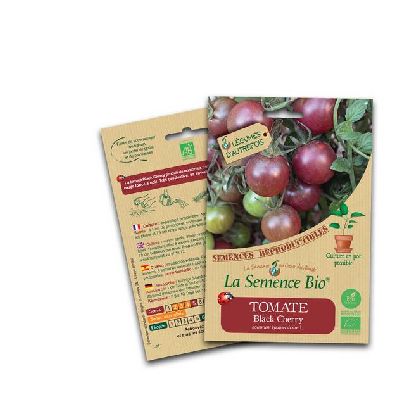 Tomate Black Cherry Semis